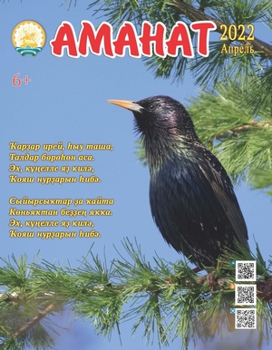 Ҡанаттарын ҡаға-ҡаға юлға сыға “Аманат”
