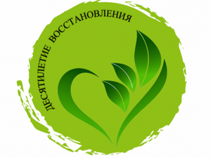 Приглашаем к участию в конкурсе СМИ и блогеров