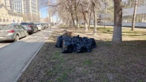 Сотрудники Дома печати дружно вышли на большой городской субботник