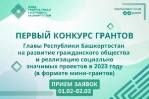 Конкурс грантов Главы Республики Башкортостан для молодых НКО